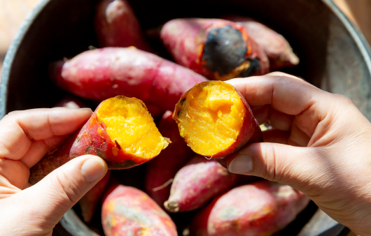속이 노란 고구마 | 출처 : 클립아트코리아