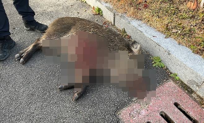 [청원경찰서 제공. 재판매 및 DB 금지] 연합뉴스