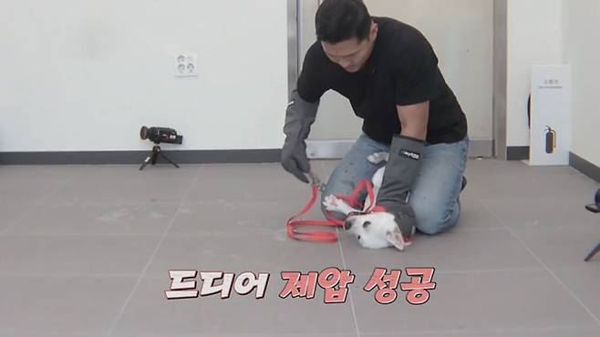 KBS2 예능 《개는 훌륭하다》 한 장면ⓒKBS2 제공