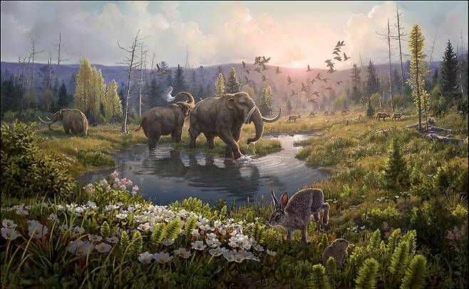 200만년 전 그린란드 북단의 한 숲을 그린 상상도. 지층에 남은 DNA를 통해 당시 코끼리의 먼 친척인 마스토돈을 비롯해 다양한 동식물이 살았던 것으로 확인됐다./Beth Zaiken/bethzaiken.com
