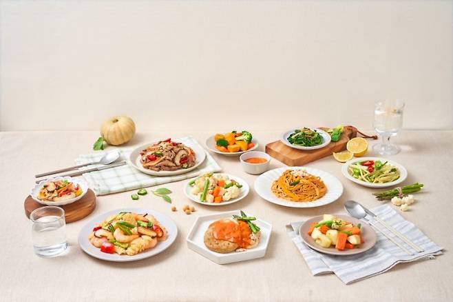 암 경험자들의 건강한 회복을 위해 풀무원이 선보이는 '암환자용 식단형 식품'. 풀무원 제공