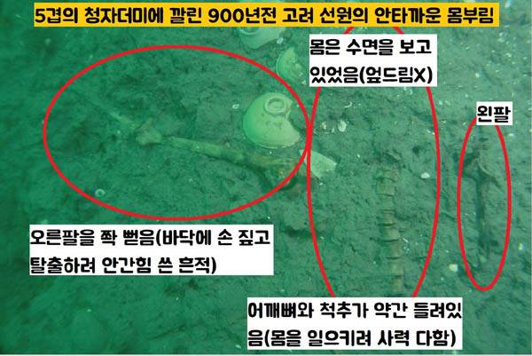 충남 태안 대섬 앞바다에서 인양된 태안선에서 확인된 인골의 모습. 인골은 위쪽을 향해 있었고 오른팔을 쫙 뻗어 있었다. 어깨뼈와 척추가 정면에서 살짝들려 있었다. 비운의 고려선원은 겹겹이 쌓인 청자 꾸러미 아래 깔려 사망한 것으로 보인다. 탈출을 위해 팔을 뻗어 몸을 일으키려고 했지만 청자더미 때문에 실패한 것으로 보인다. / 국립해양문화재연구소 제공