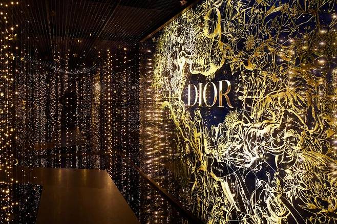 드림 동의 세 번째 공간, 미러 룸