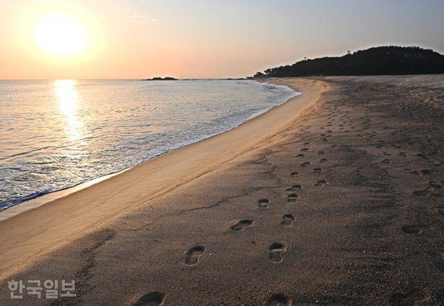 평해사구습지 주변에 넓은 백사장이 형성돼 있다. 일출을 보기 위해 새벽 걸음을 한 여행객의 발자국이 선명하다.