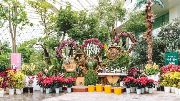 서울식물원이 크리스마스 시즌을 맞아 ‘겨울정원’을 주제로 색다른 연출을 적용한 전시를 선보인다.  서울식물원  제공