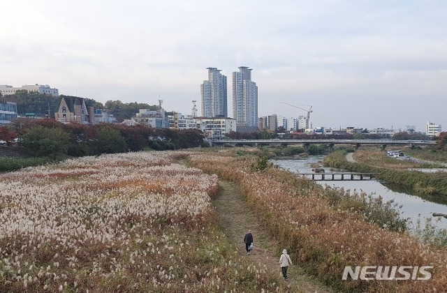 [청주=뉴시스] 충북 청주시 무심천의 갈수기 모습. photo@newsis.com