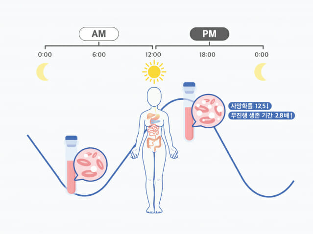 일주기 리듬을 고려한 시간항암요법 (자료=IBS)