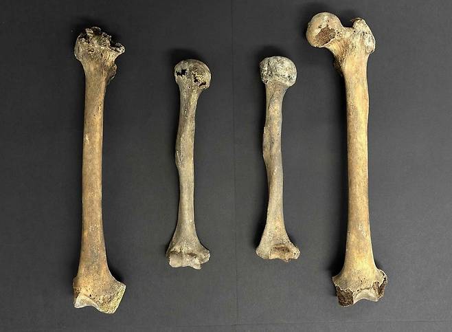 충남 보령 옥약골 유적에서 출토된 옛사람 뼈 [국립문화재연구원 제공. 재판매 및 DB 금지]