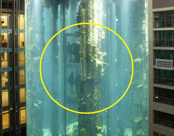 현지시간 16일 독일 베를린 도심의 수족관 '아쿠아 돔'이 갑자기 폭발해 2명이 다치고 1500마리의 열대어 등이 죽었다. 100만 리터의 물이 터져 나오면서 인근 도로까지 아수라장이 됐다. 사진은 2003년 건립 당시 '아쿠아 돔'의 모습. 엘리베이터를 타고 원통형 투명 수족관을 지나면서 물고기를 볼 수 있도록 설계됐다. 〈사진=로이터통신〉