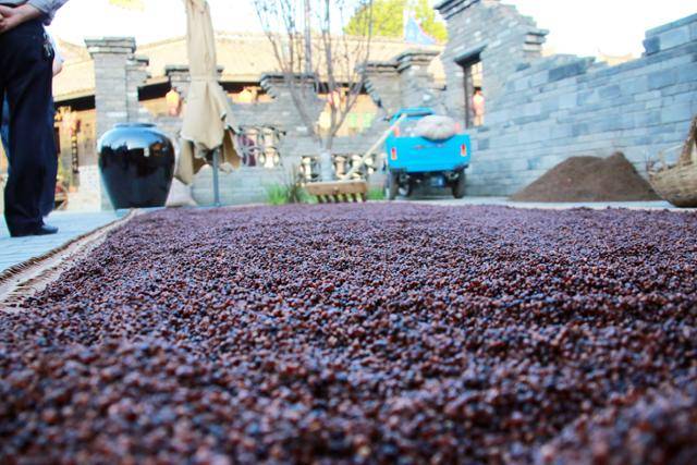 제갈고진 와룡주의 원료인 수수를 쪄서 말리는 풍경. ⓒ최종명