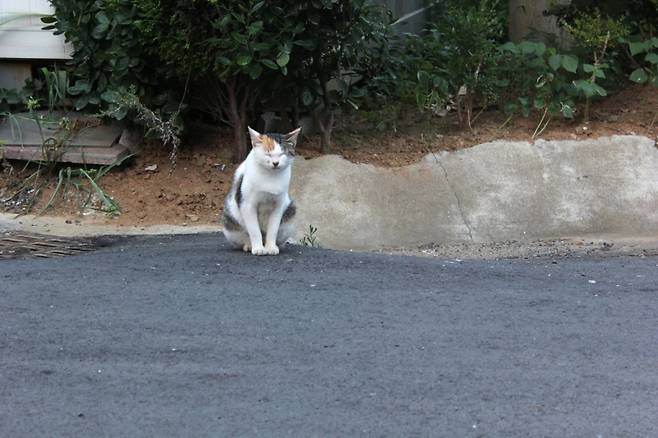 기사와 직접적인 관련 없음 /사진=게티이미지뱅