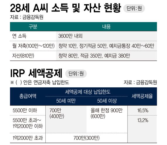 28세 A씨 소득 및 자산 현황 /그래픽=정기현 기자