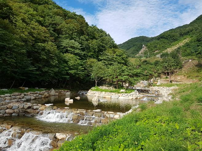 사방사업. 경남도청 제공