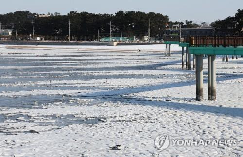 꽁꽁 언 바닷가   (화성=연합뉴스) 홍기원 기자 = 매서운 한파가 계속된 18일 경기도 화성시 서신면 궁평항 바닷가가 얼어 있다. 2022.12.18
  anadu@yna.co.kr