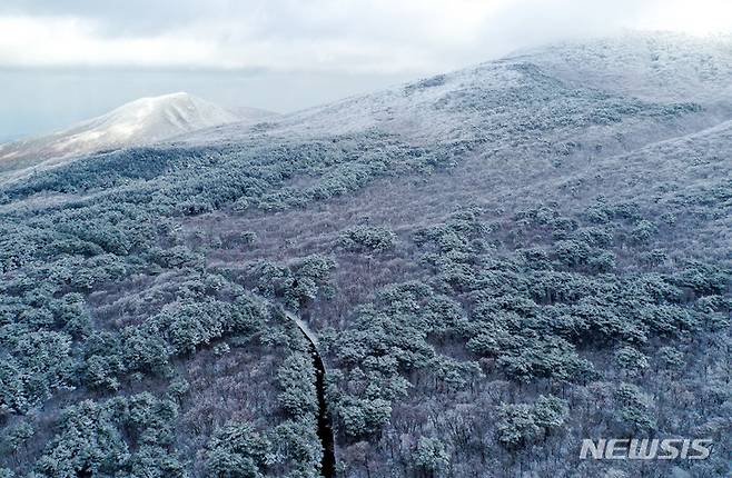 [제주=뉴시스] 우장호 기자 = 19일 오후 주말 동안 폭설이 쏟아진 제주 한라산 자락에 눈꽃이 활짝펴 시선을 사로 잡고 있다. 2022.12.19. woo1223@newsis.com