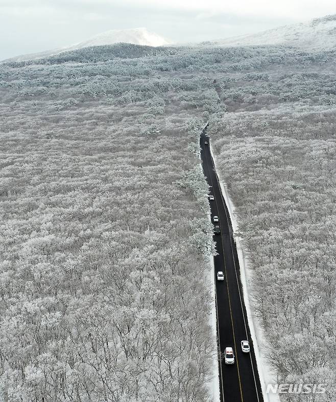 [제주=뉴시스] 우장호 기자 = 19일 오후 주말 동안 폭설이 쏟아진 제주 한라산 자락에 눈꽃이 활짝펴 시선을 사로 잡고 있다. 2022.12.19. woo1223@newsis.com