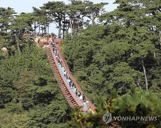 울산 대왕암공원 출렁다리 [연합뉴스 자료사진]