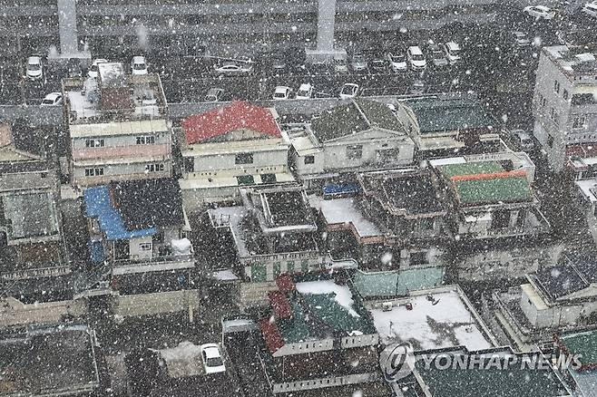 '펑펑' 내리는 눈 (광주=연합뉴스) 차지욱 기자 = 대설주의보가 내려진 17일 오전 광주 도심에 눈이 내리고 있다. 2022.12.17 uk@yna.co.kr