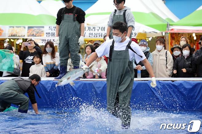 3일 오후 제주 서귀포시 대정읍 모슬포항에서 열린 '제22회 최남단 방어축제'에서 도민과 관광객들이 맨손으로 방어 잡기 체험을 하고 있다.2022.12.3/뉴스1 ⓒ News1 고동명 기자