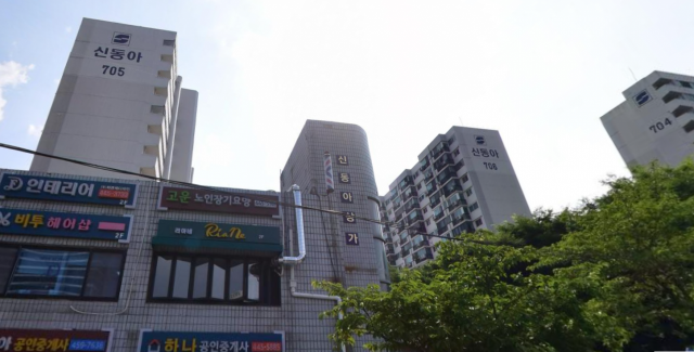 서울 강남구 수서동 신동아 아파트 단지 전경./사진=네이버로드뷰 갈무리