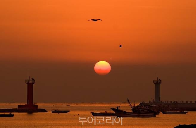 서천군 마량진항 일출