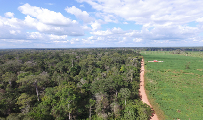 산림청의 캄보디아 RED시범사업 대상지 전경. 산림청 제공.