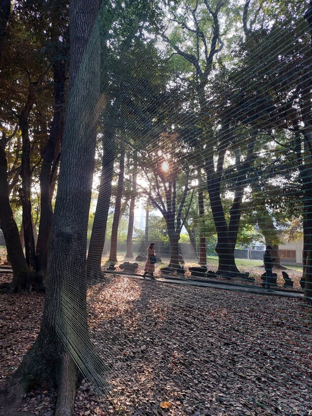 제주로 거처를 옮겨 작업해온 신예선 작가가 내놓은 설치작품 신작 <움직이는 정원>. 삼성혈 주위에 있는 녹나무, 곰솔 등 숲속 나무들 사이로 색색의 비단실을 여기저기 감아 신비스러운 시간의 그물을 빚어냈다. 나무들이 삼성혈을 지켜온 세월을 담아내기 위해 빛이 스며들어 색감이 바뀌고 바람이 넘나들며 나풀거리는 작품을 만들었다.