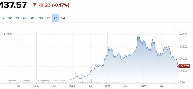 테슬라 주가 5년 추이/사진=CNBC