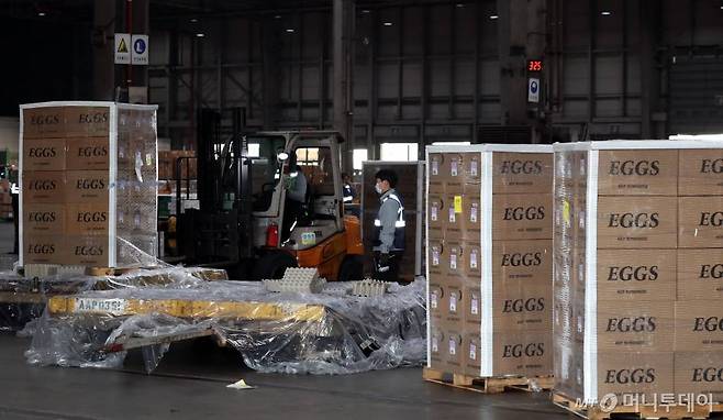 고병원성 조류인플루엔자(AI) 확산으로 국내 계란 가격이 급등하고 있는 가운데 지난 해 1월25일 인천국제공항 아시아나항공 화물터미널에서 관계자들이 미국산 계란을 옮기고 있다. /사진=이기범 기자 leekb@