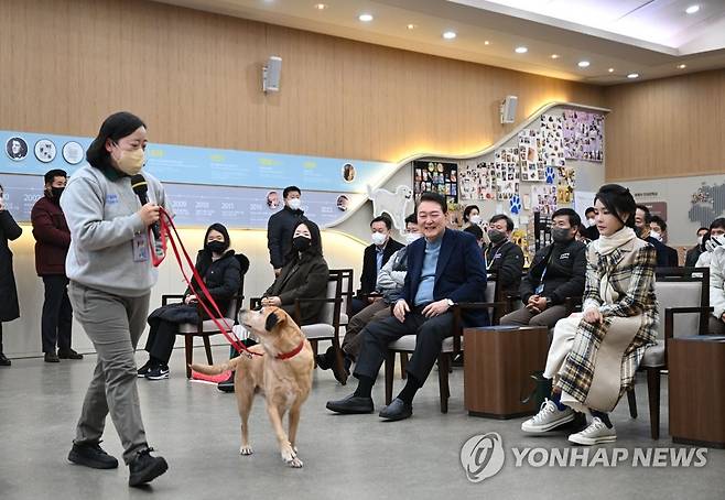 은퇴 안내견 양육 방법 설명 듣는 윤석열 대통령 부부 (서울=연합뉴스) 임헌정 기자 = 윤석열 대통령과 김건희 여사가 24일 경기도 용인 삼성화재 안내견 학교에서 분양받은 은퇴 안내견 '새롬이' 양육 방법에 대한 설명을 듣고 있다. 2022.12.24 [대통령실 제공. 재판매 및 DB 금지] kane@yna.co.kr