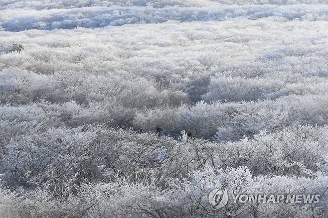 눈꽃 만발 한라산 [연합뉴스 자료사진]