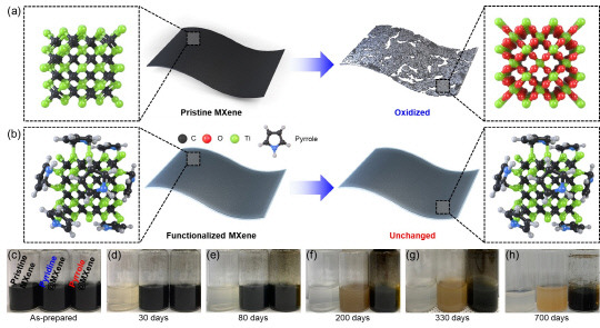 피롤 처리된 맥신의 모식도와 상온에서의 산화 안정성 테스트 (700일까지) 모습. 사진=나노종합기술원 제공