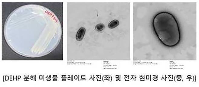 사진 제공 환경부