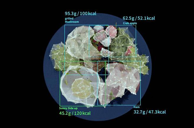 누비랩의 실시간 스캔 기술, 출처: 누비랩 홈페이지