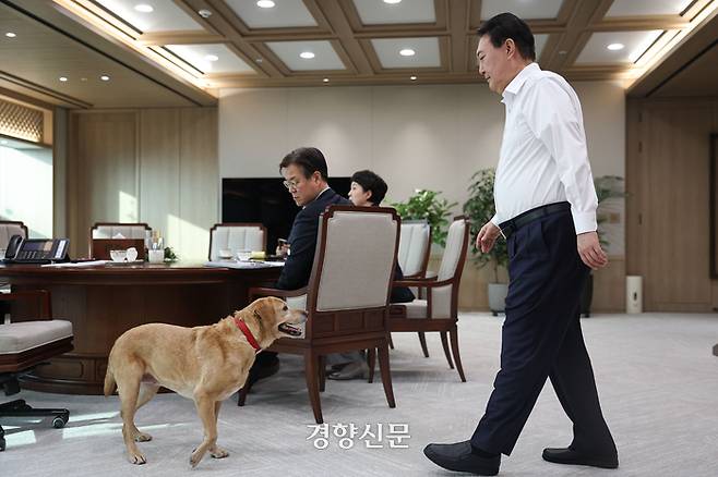 윤석열 대통령이 26일 용산 대통령실 청사에서 열린 수석비서관 티타임에서 지난 24일 입양한 시각장애인 은퇴견 새롬이를 참석자들에게 소개하고 있다.  대통령실은 윤 대통령을 출근길까지 계속 따라다닌 새롬이와 함께 집무실까지 출근, 수석비서관들에게 인사시킨 뒤 다시 관저로 돌려보냈다고 밝혔다. 대통령실 제공