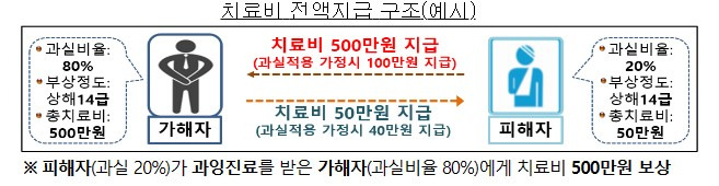 /자료=금융감독원