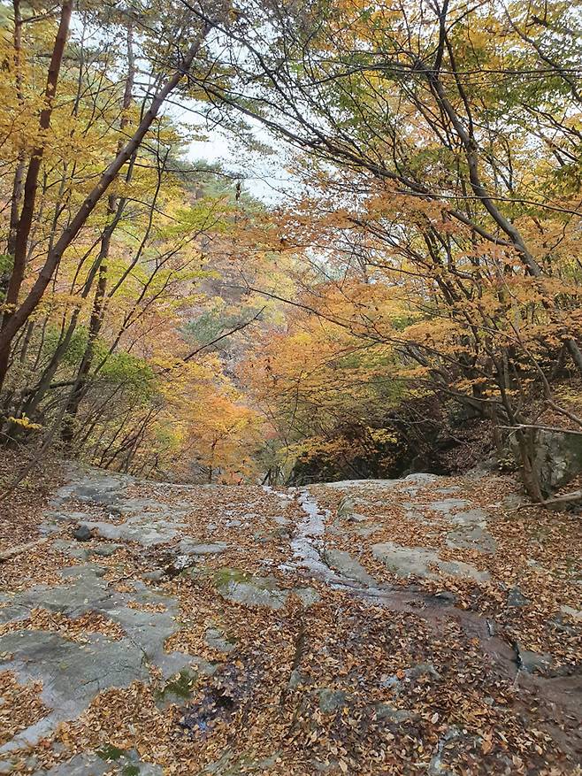 만추의 선녀계곡