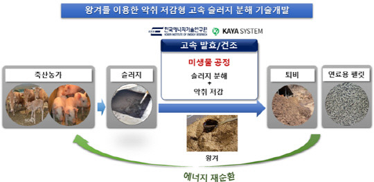 고속 슬러지 분해 공정개발 모식도. 사진=에너지연 제공