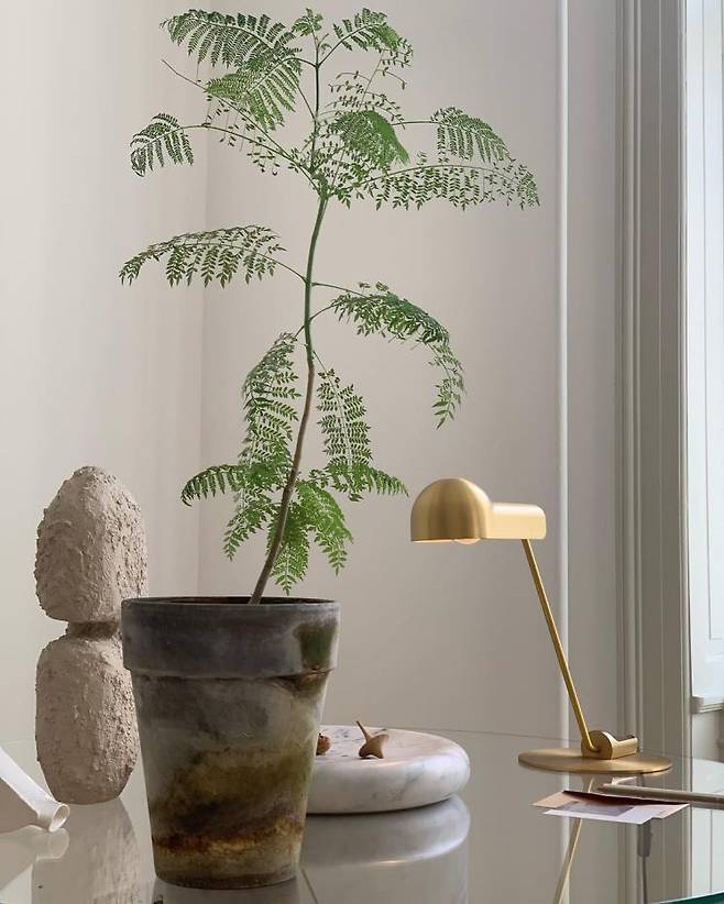 루밍 인스타그램