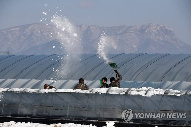 폭설 피해 농가 복구작업 하는 장병들 (담양=연합뉴스) 조남수 기자 = 육군 31보병사단 장병들이 27일 전남 담양군 담양읍 대설 피해를 본 비닐하우스에서 제설 복구작업하고 있다. 2022.12.27 iso64@yna.co.kr