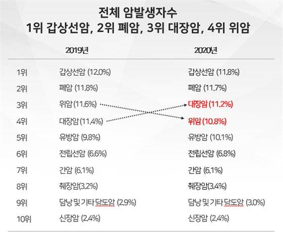 전체 암 발생자 수. [복지부]