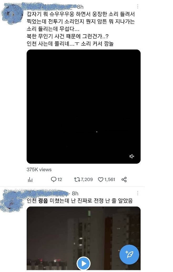 트위터 캡처