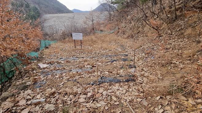 유해발굴 대상지 중 한 곳인 대구 달성군 가창면 용계리의 모습. /사진=진실화해위 제공