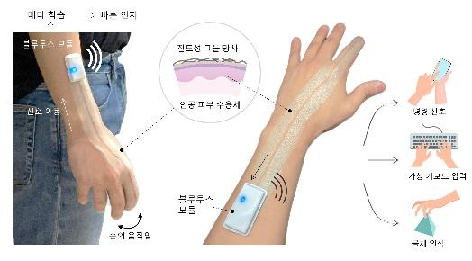 지능형 전자피부 모식도 [조성호 교수 제공. 재판매 및 DB 금지]