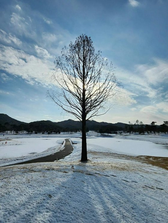 눈밭에서 치다 보면 쌓인 눈이 햇빛에 반사되어 반짝이고 바람이 불면 나뭇가지에 쌓인 눈이 그림처럼 흩날린다. 눈 덮인 환상적인 설원에서 즐거운 한 때를 즐길 수 있다.