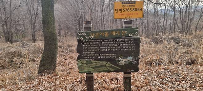 아흔아홉 배미 논. 김용민 해설사 제공