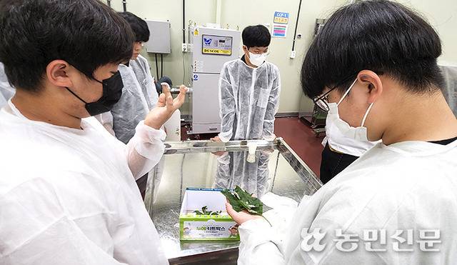 한국미래농업고등학교 미래곤충산업과 학생들이 실습수업에서 누에키트 제작 과정에 대한 설명을 듣고 있다.