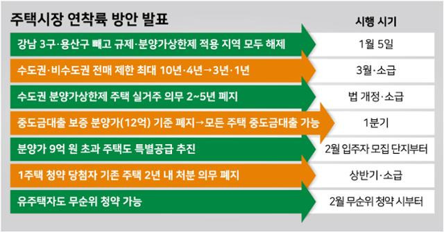 주택시장 연착륙 방안 발표. 그래픽=강준구 기자