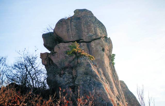 들창코 등 돼지 머리 모습을 한 돼지바위.