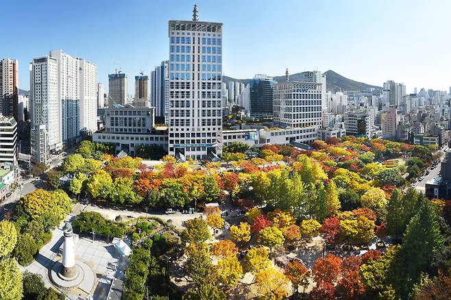 부산시청 전경 / 사진 = 부산시 제공